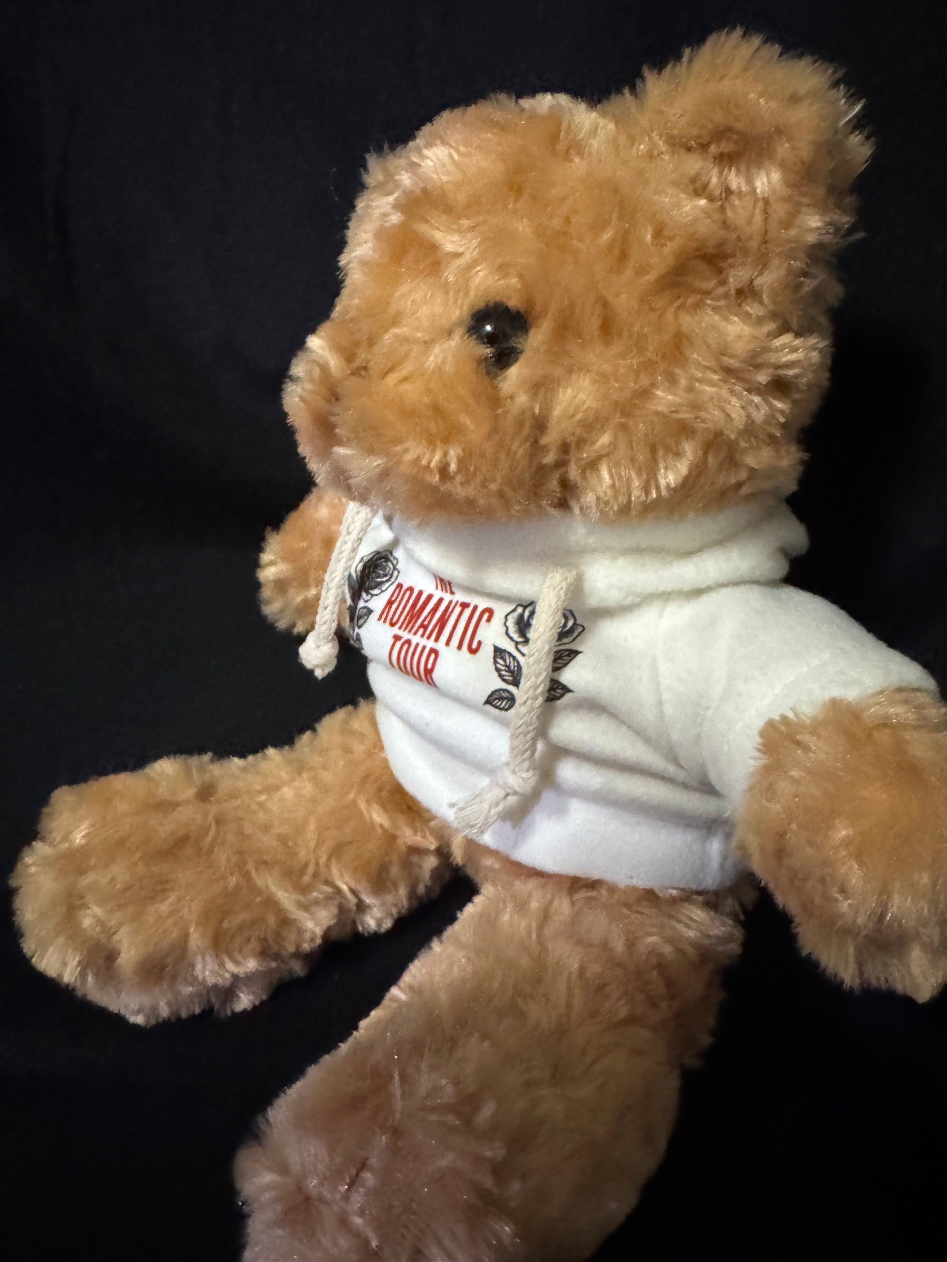 Image of The Romantic Tour 2026 Teddy Bear | Concert Memories
