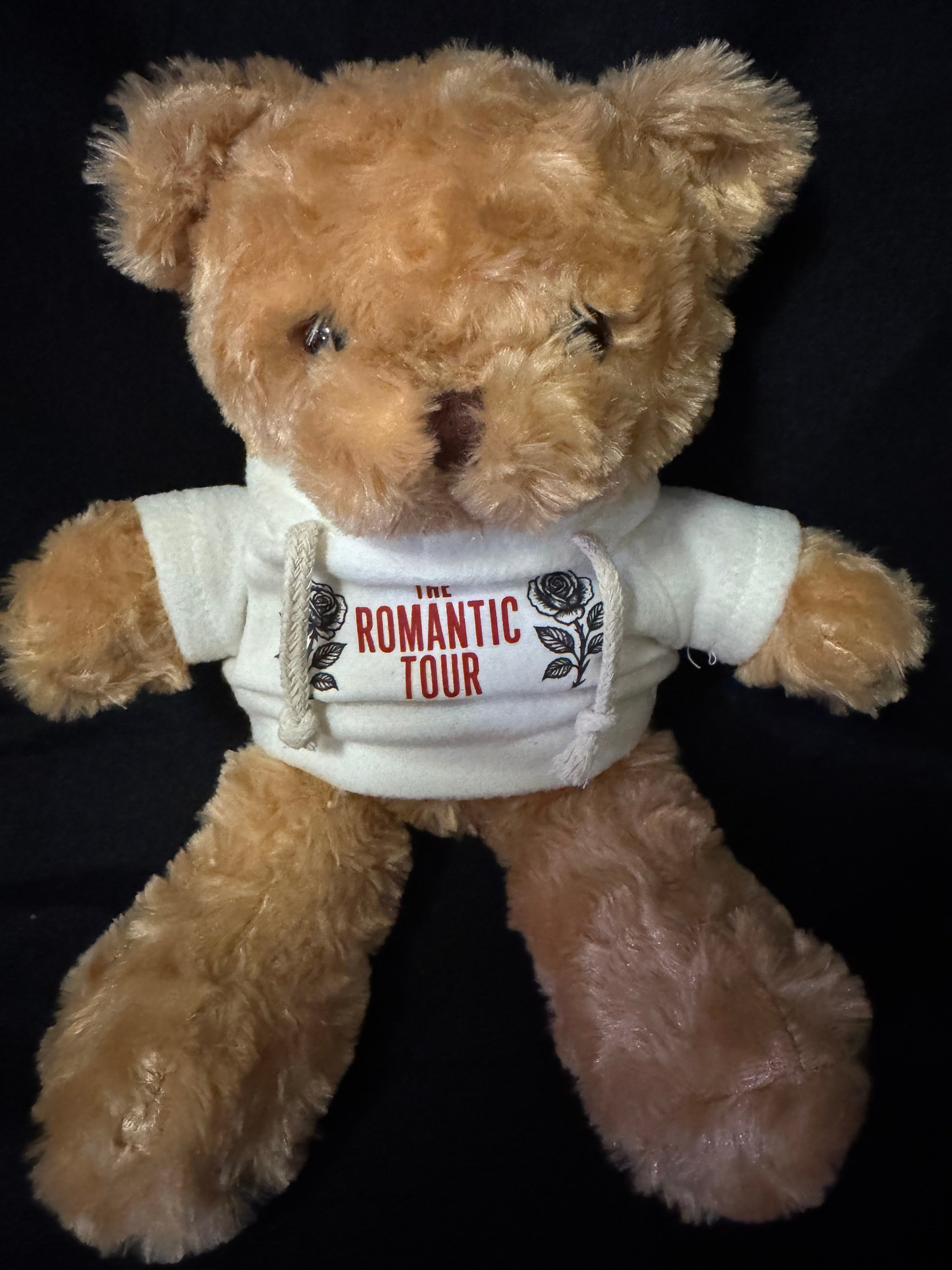 Image of The Romantic Tour 2026 Teddy Bear | Concert Memories