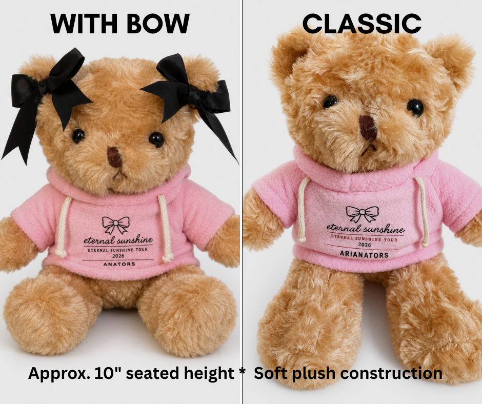 Image of The Eternal Sunshine Tour Teddy Bear | Concert Memories