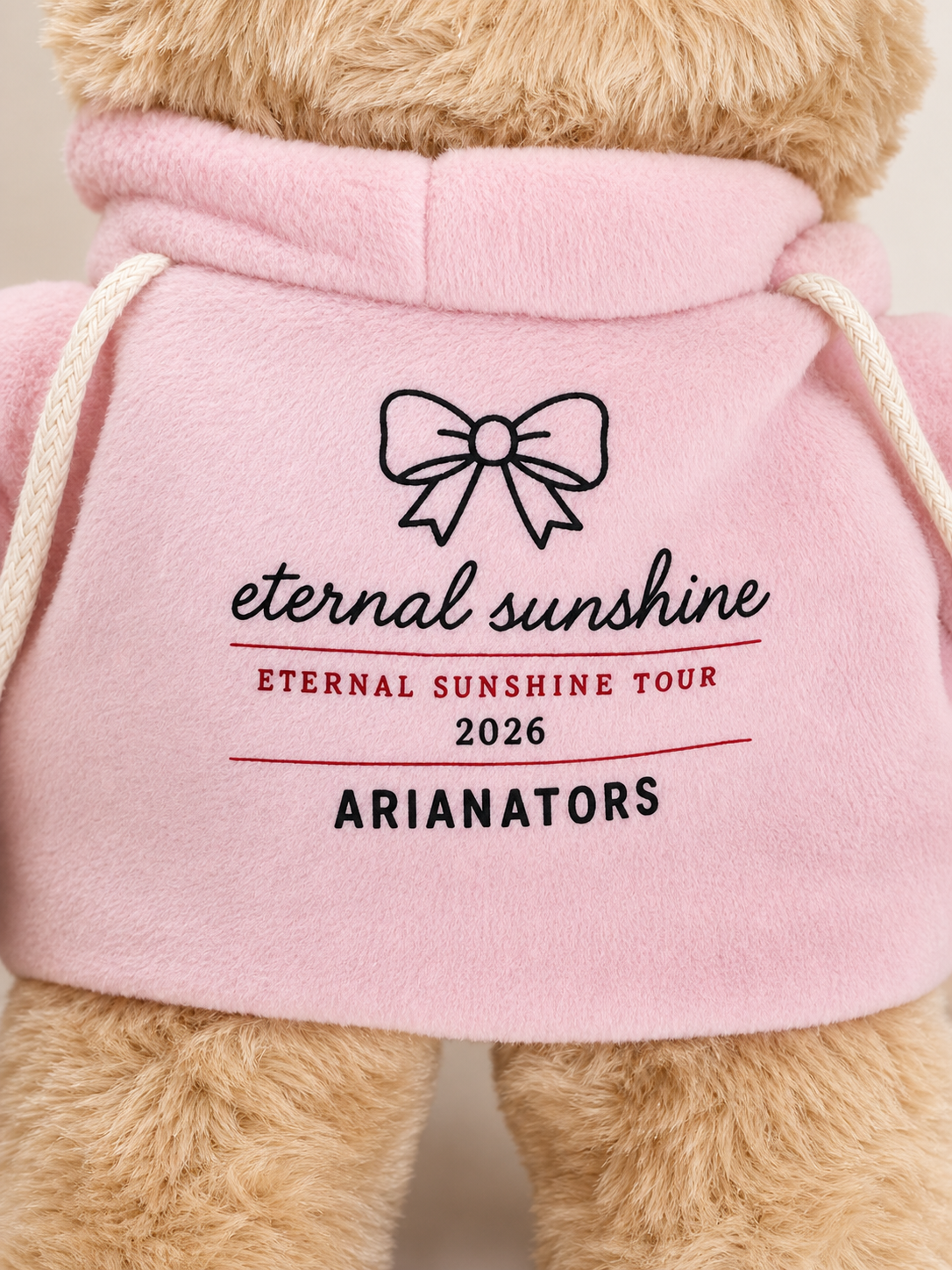 Image of The Eternal Sunshine Tour Teddy Bear | Concert Memories