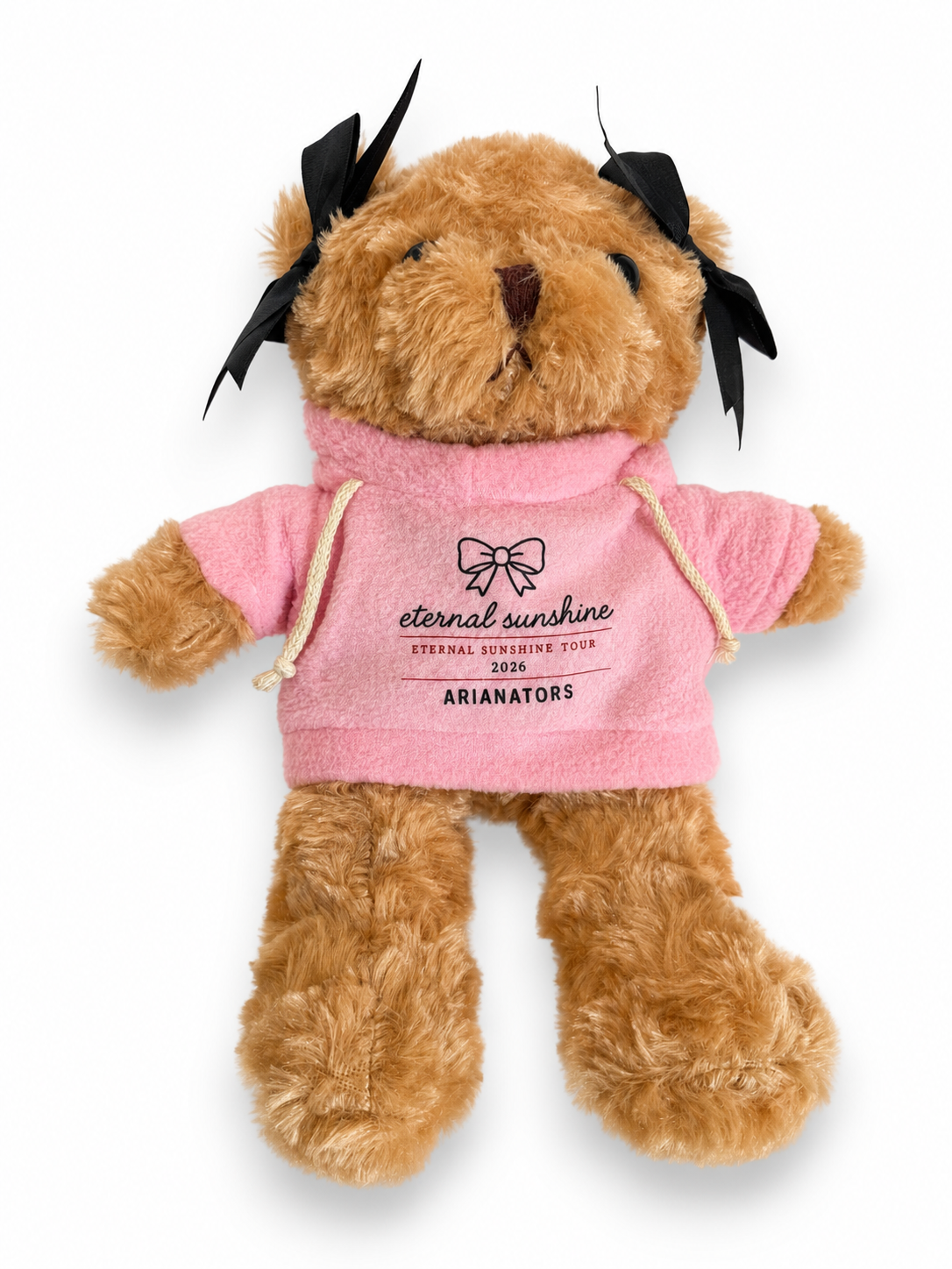 Image of The Eternal Sunshine Tour Teddy Bear | Concert Memories