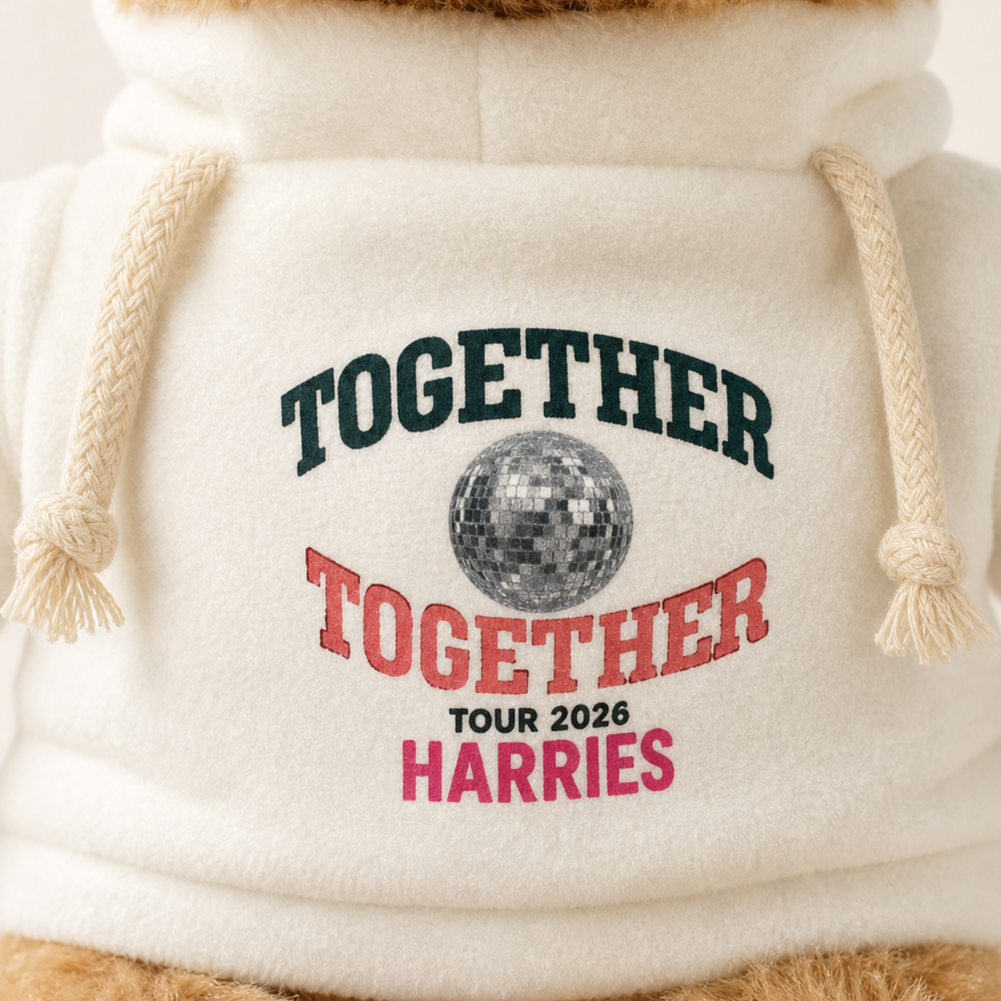 Image of Close-up of Together Together Tour embroidered hoodie on Disco Bear