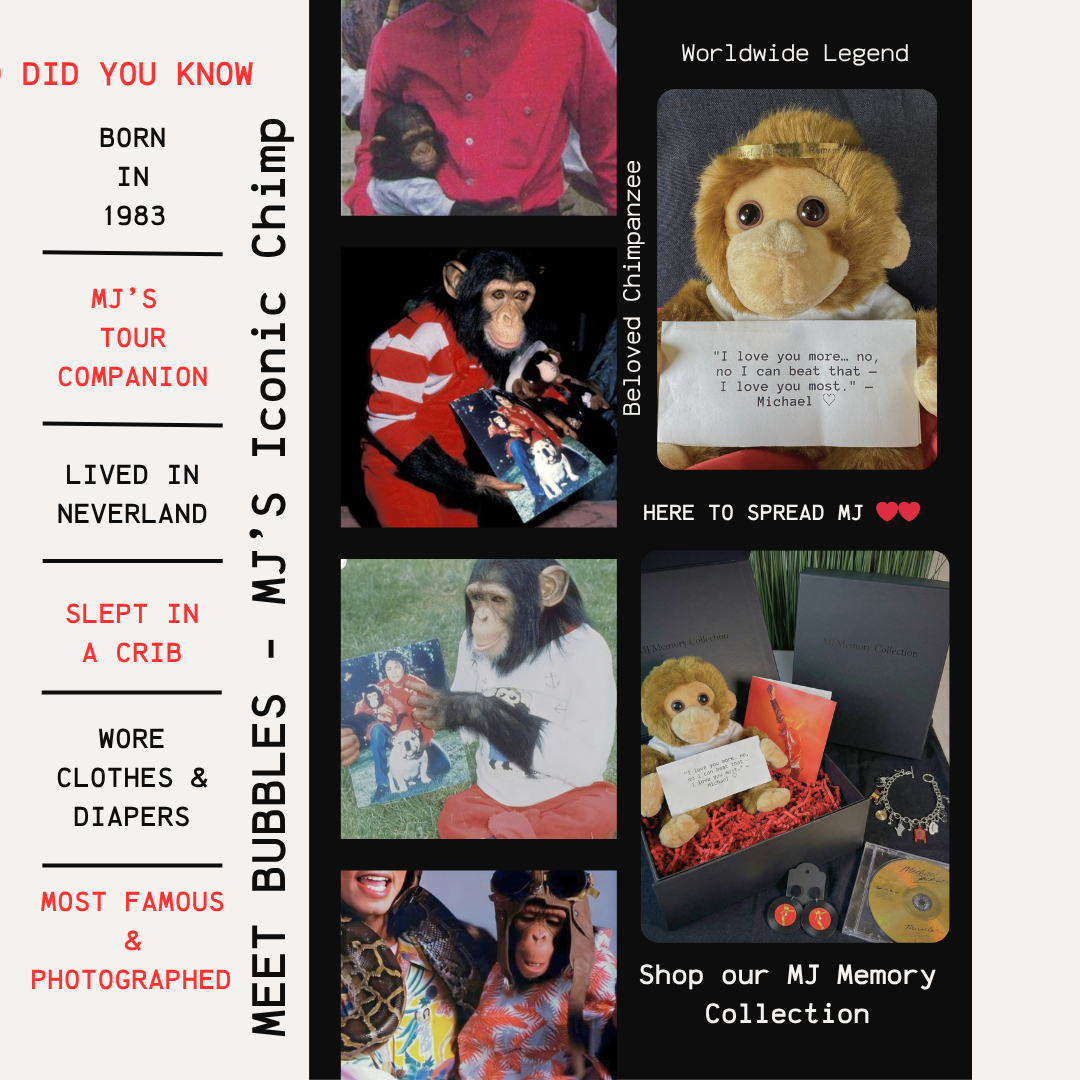 Image of MICHAEL Gift Box - Music Fan Bundle