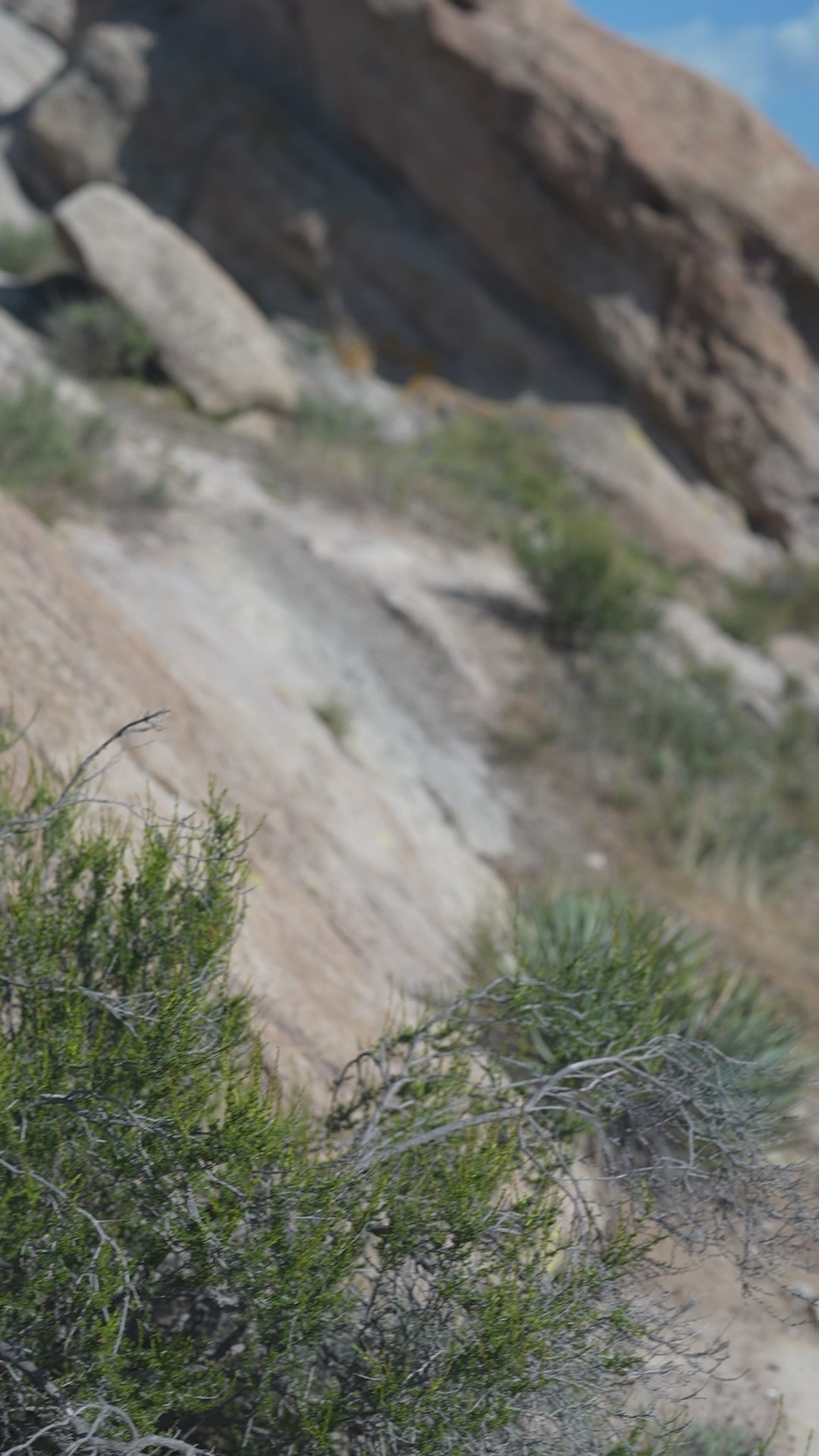 Image of White Cowboy Hat Wig